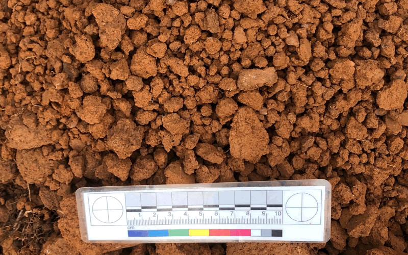 Estudos Arqueologicos